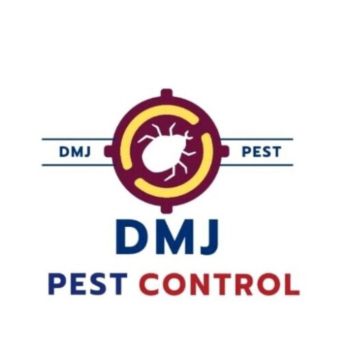 Pest Control in Chennai