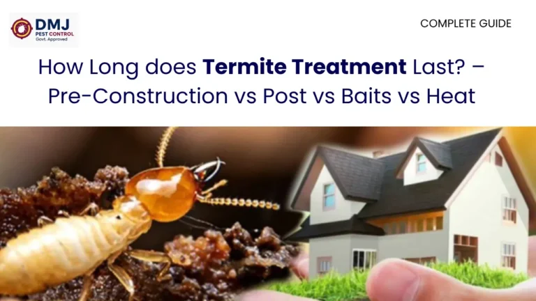 How Long Does a Termite Treatment Last? – (All Methods Explained)